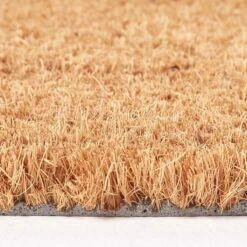 Coir Cat Shaped Non-Slip Doormat -Best Homeware Store dm1150 03